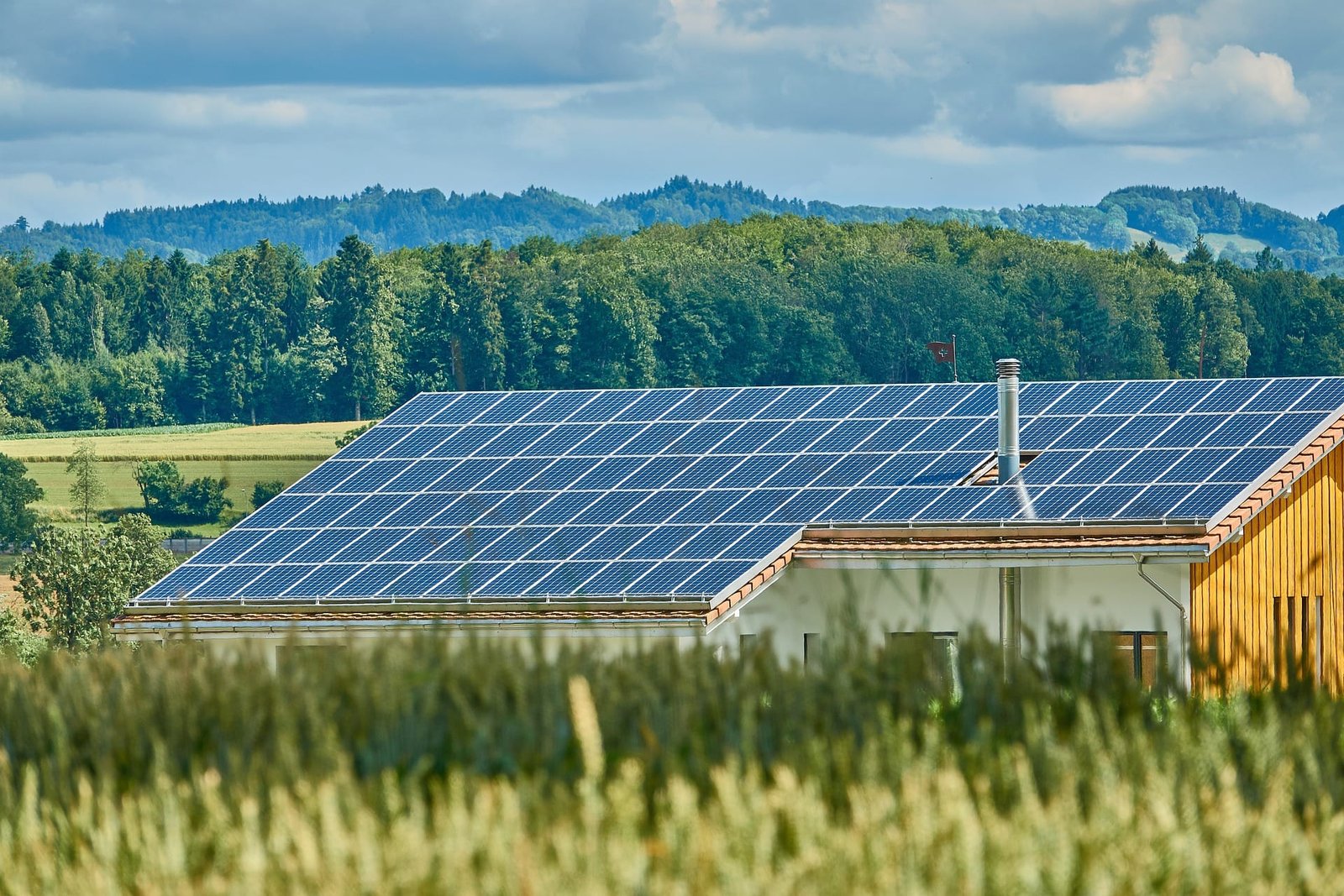 Rusty Tweed Explores the Impact of Sustainability on the Real Estate Industry